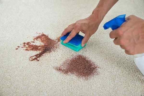 How to Remove Chocolate Stains from Carpets