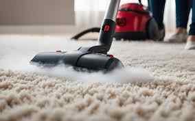 The Best Carpet Cleaning Techniques