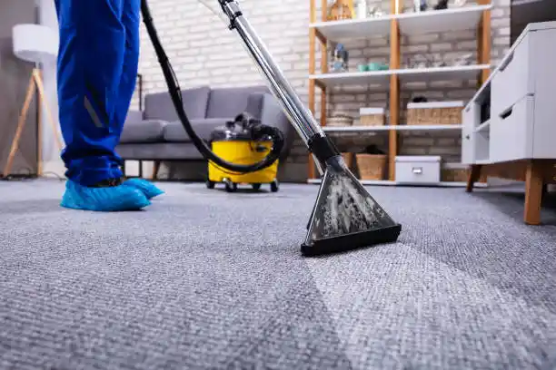 great carpet cleaning solutions