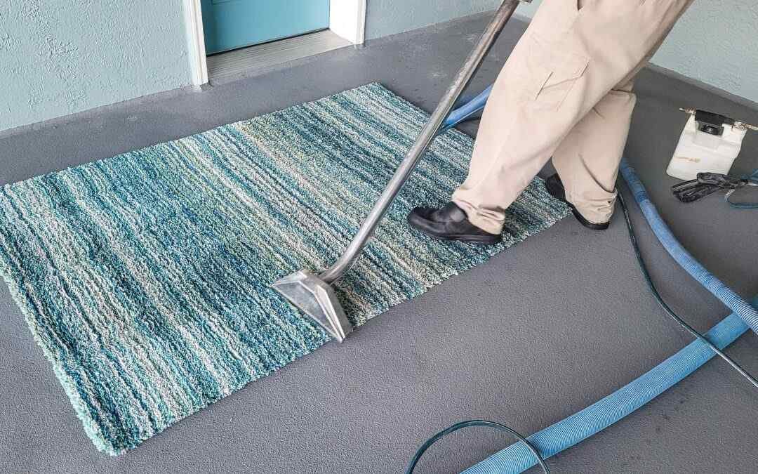 DIY vs Professional Rug Cleaning